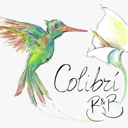 شاكا Colibri B&B المظهر الخارجي الصورة