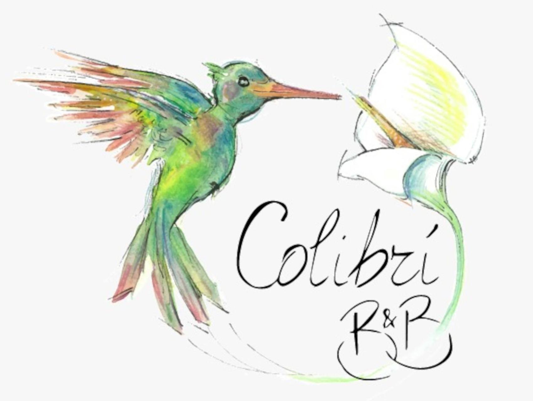 شاكا Colibri B&B المظهر الخارجي الصورة